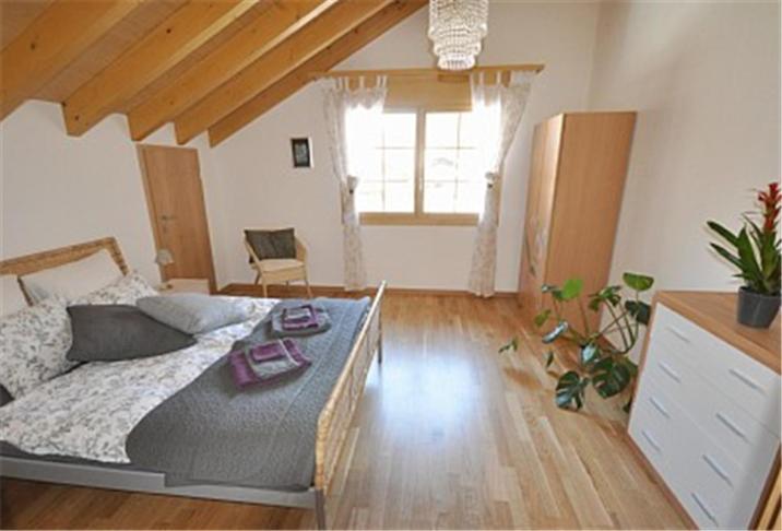 Charming Penthouse Apartment Lauterbrunnen Room photo